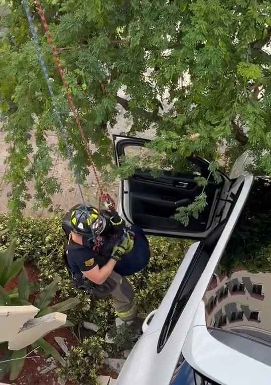 Donna verpasst das Pedal und findet sich gerettet mit dem SUV wieder, der auf dem Parkplatz baumelt