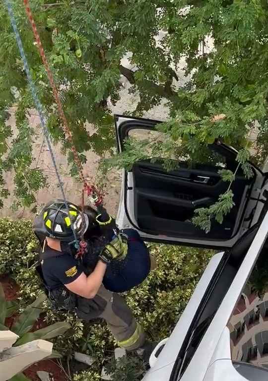 Donna verpasst das Pedal und findet sich gerettet mit dem SUV wieder, der auf dem Parkplatz baumelt