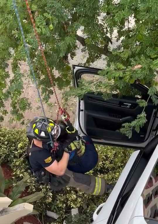 Donna verpasst das Pedal und findet sich gerettet mit dem SUV wieder, der auf dem Parkplatz baumelt