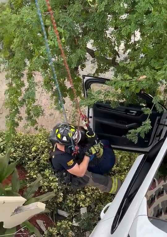 Donna verpasst das Pedal und findet sich gerettet mit dem SUV wieder, der auf dem Parkplatz baumelt