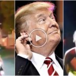 "Les migrants aux USA mangent des chats", voici la vidéo où est née la fake news de Trump