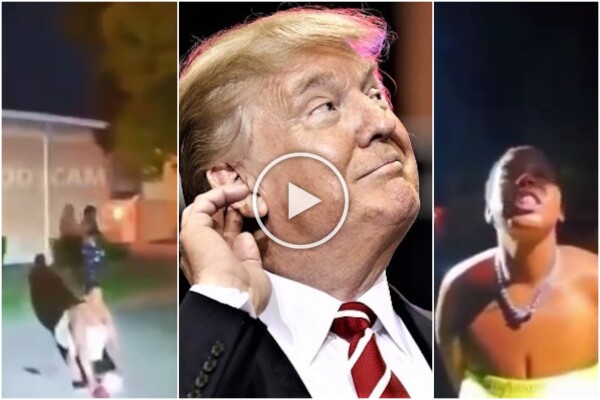 "Les migrants aux USA mangent des chats", voici la vidéo où est née la fake news de Trump