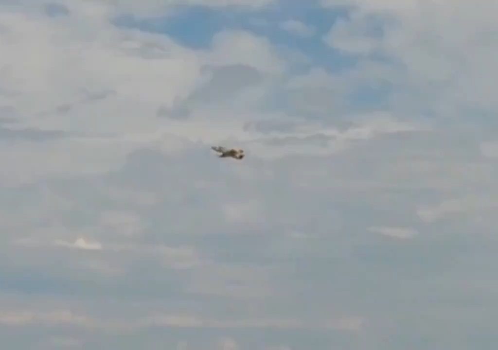 Avión militar intenta hacer un bucle y se estrella: vídeo dramático