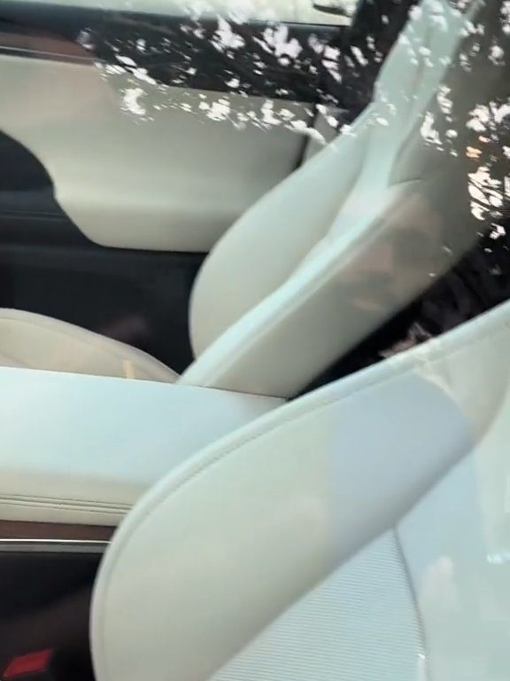 Neonato bloccato in una Tesla durante un test drive: una storia da incubo