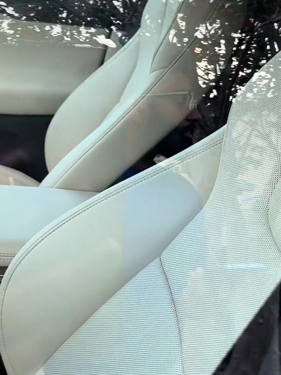 Neonato bloccato in una Tesla durante un test drive: una storia da incubo