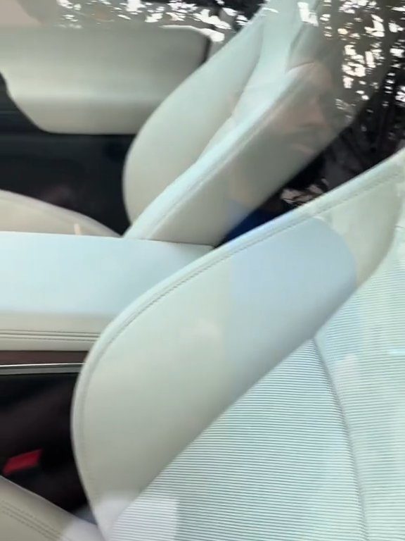 Neonato bloccato in una Tesla durante un test drive: una storia da incubo