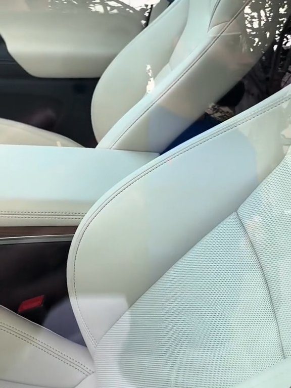 Neonato bloccato in una Tesla durante un test drive: una storia da incubo