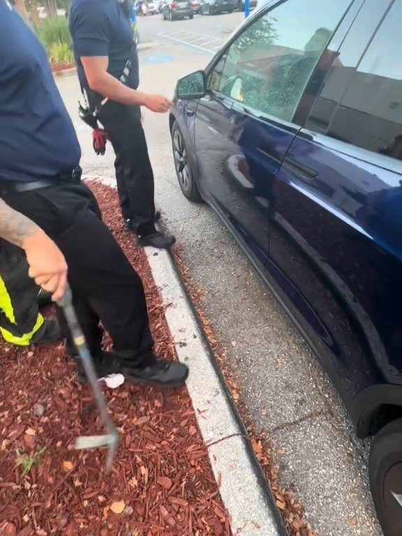 Recién nacido atrapado en un Tesla durante una prueba de manejo: una historia de pesadilla