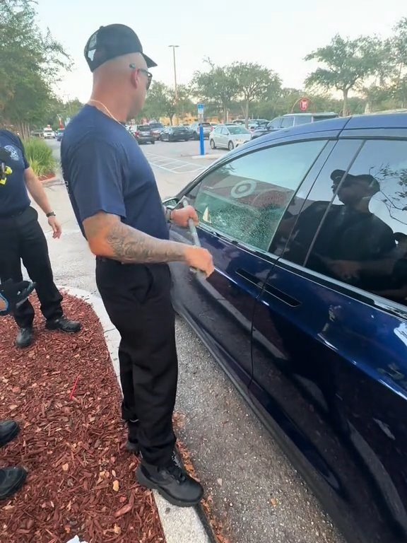 Recién nacido atrapado en un Tesla durante una prueba de manejo: una historia de pesadilla