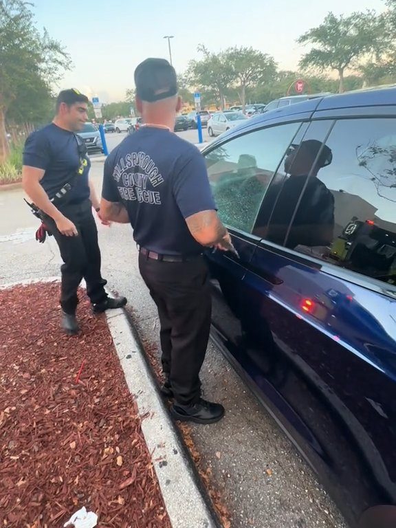 Recién nacido atrapado en un Tesla durante una prueba de manejo: una historia de pesadilla