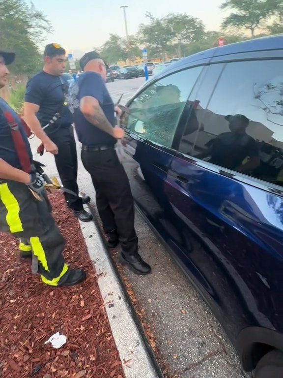 Recién nacido atrapado en un Tesla durante una prueba de manejo: una historia de pesadilla