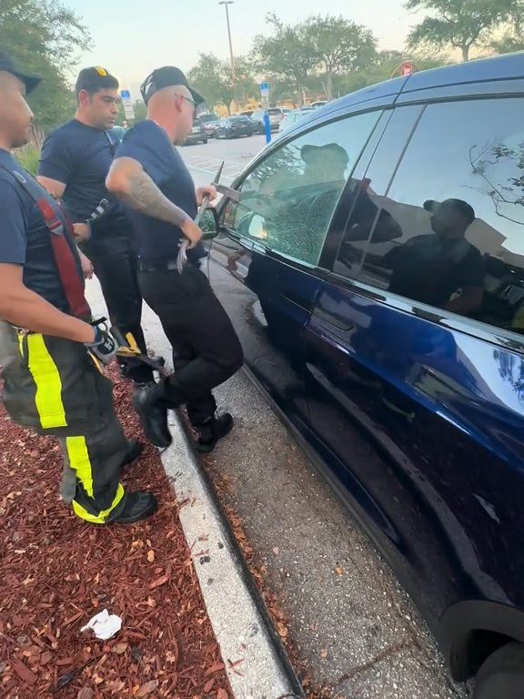 Recién nacido atrapado en un Tesla durante una prueba de manejo: una historia de pesadilla