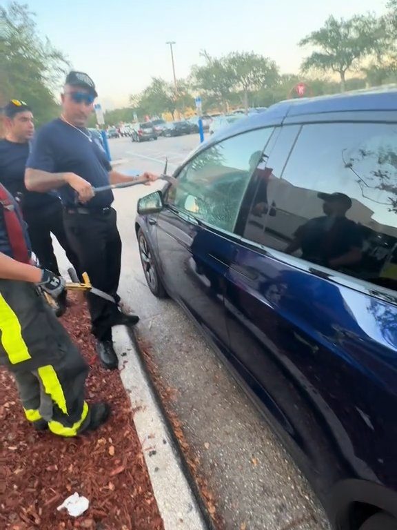 Neonato bloccato in una Tesla durante un test drive: una storia da incubo