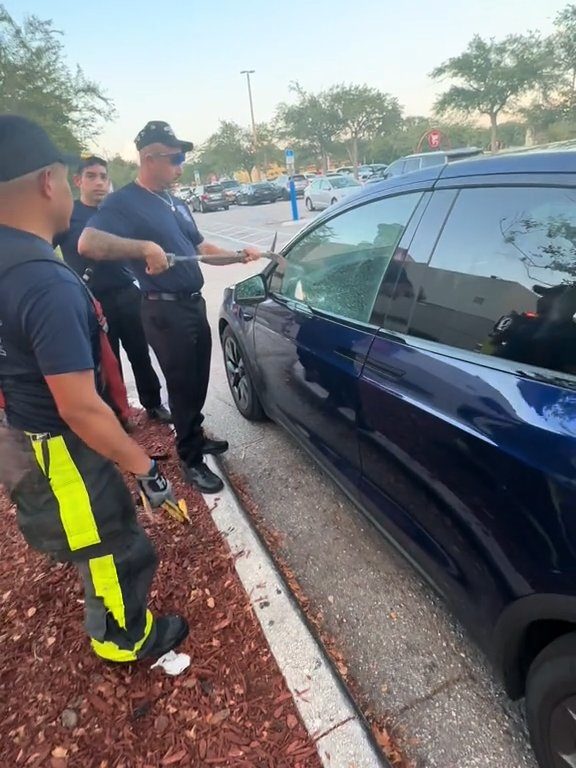 Recién nacido atrapado en un Tesla durante una prueba de manejo: una historia de pesadilla