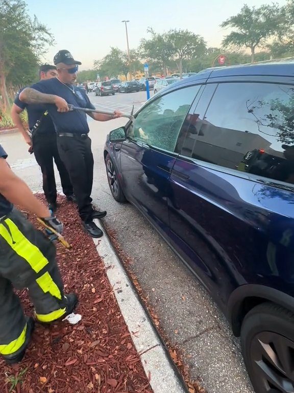 Neonato bloccato in una Tesla durante un test drive: una storia da incubo