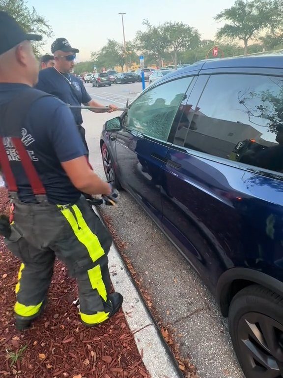 Recién nacido atrapado en un Tesla durante una prueba de manejo: una historia de pesadilla