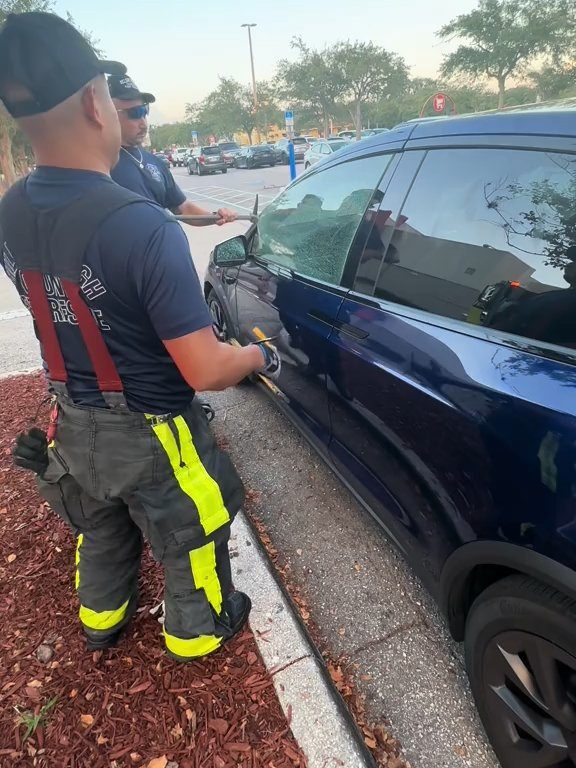 Recién nacido atrapado en un Tesla durante una prueba de manejo: una historia de pesadilla