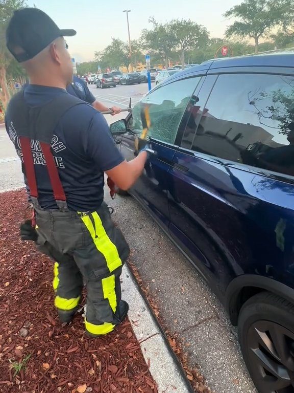 Recién nacido atrapado en un Tesla durante una prueba de manejo: una historia de pesadilla