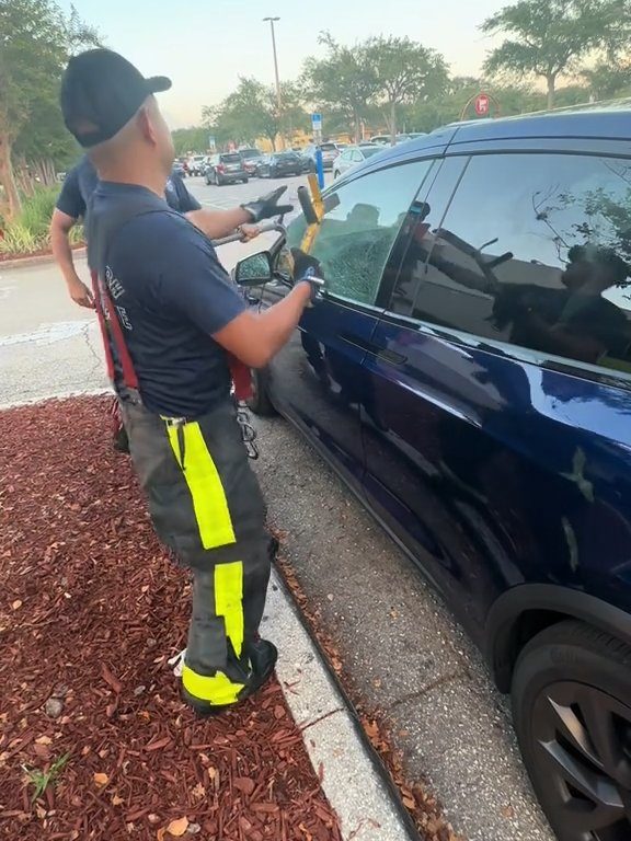 Recién nacido atrapado en un Tesla durante una prueba de manejo: una historia de pesadilla