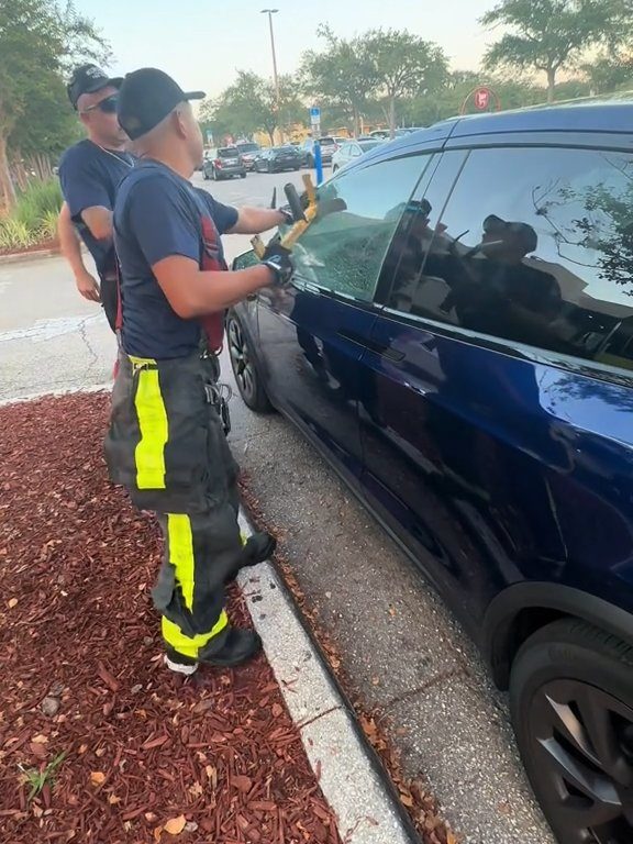 Recién nacido atrapado en un Tesla durante una prueba de manejo: una historia de pesadilla