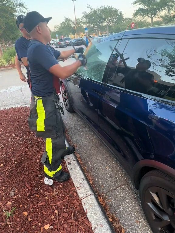 Recién nacido atrapado en un Tesla durante una prueba de manejo: una historia de pesadilla