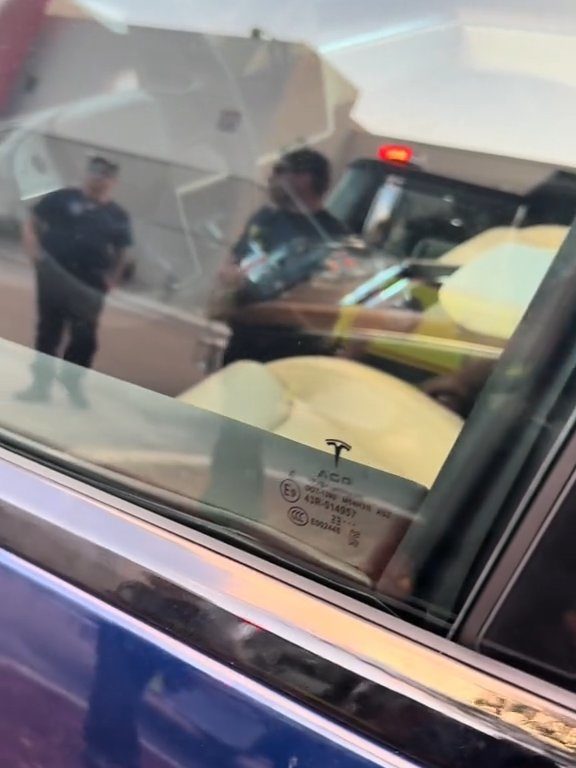 Neonato bloccato in una Tesla durante un test drive: una storia da incubo