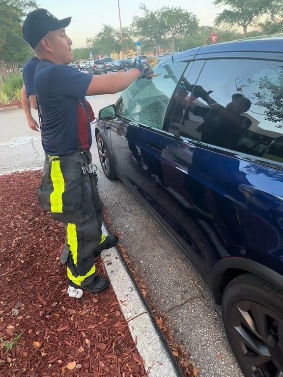 Recién nacido atrapado en un Tesla durante una prueba de manejo: una historia de pesadilla