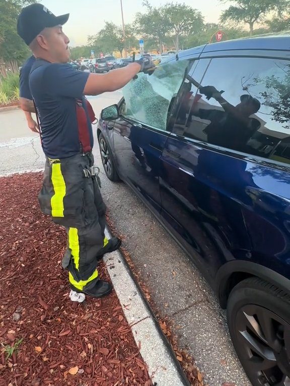 Recién nacido atrapado en un Tesla durante una prueba de manejo: una historia de pesadilla