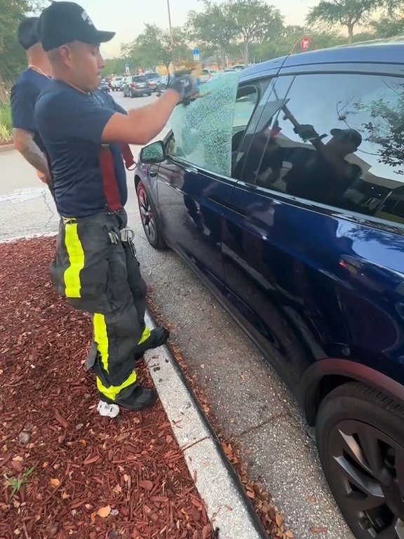 Recién nacido atrapado en un Tesla durante una prueba de manejo: una historia de pesadilla