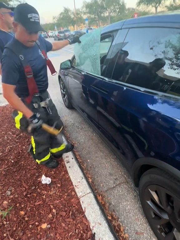 Neonato bloccato in una Tesla durante un test drive: una storia da incubo