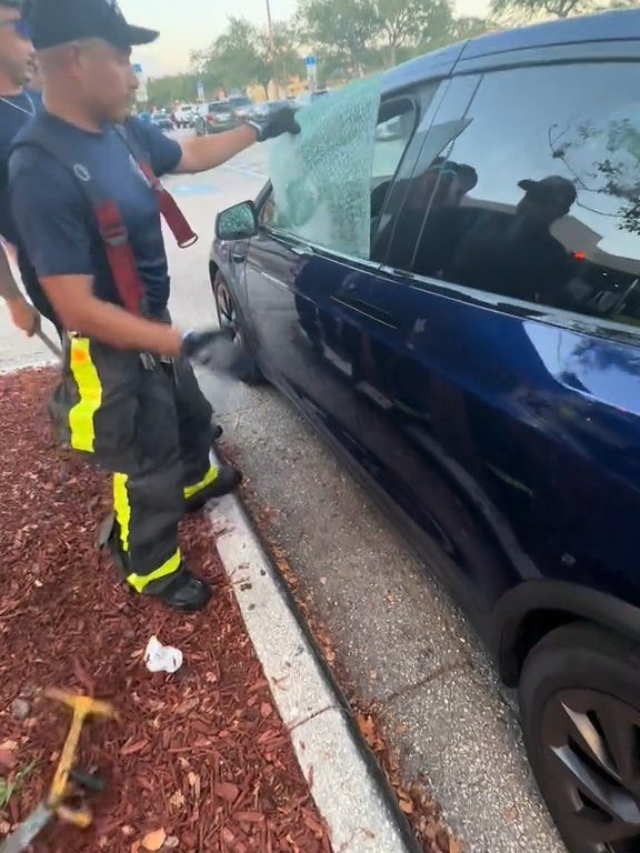 Recién nacido atrapado en un Tesla durante una prueba de manejo: una historia de pesadilla