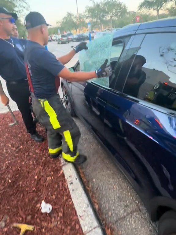 Recién nacido atrapado en un Tesla durante una prueba de manejo: una historia de pesadilla