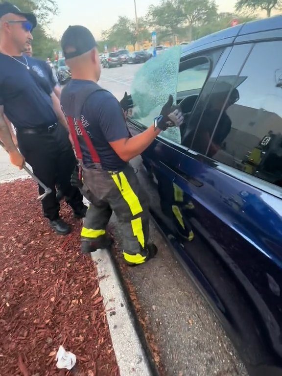 Recién nacido atrapado en un Tesla durante una prueba de manejo: una historia de pesadilla