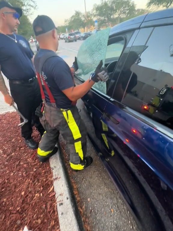 Recién nacido atrapado en un Tesla durante una prueba de manejo: una historia de pesadilla