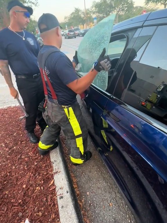 Recién nacido atrapado en un Tesla durante una prueba de manejo: una historia de pesadilla