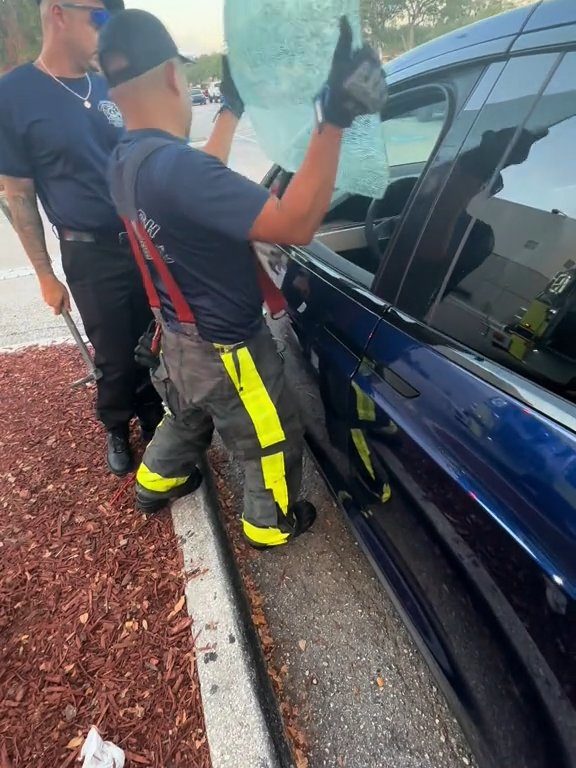 Recién nacido atrapado en un Tesla durante una prueba de manejo: una historia de pesadilla