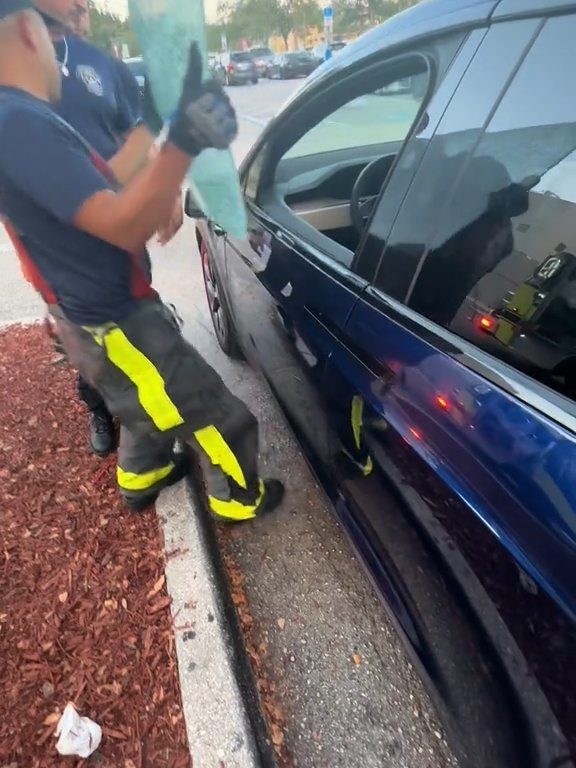 Recién nacido atrapado en un Tesla durante una prueba de manejo: una historia de pesadilla