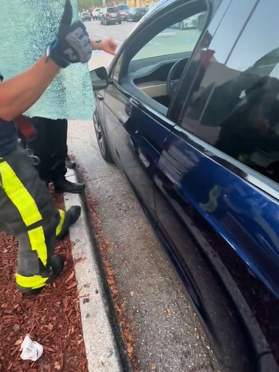 Recién nacido atrapado en un Tesla durante una prueba de manejo: una historia de pesadilla