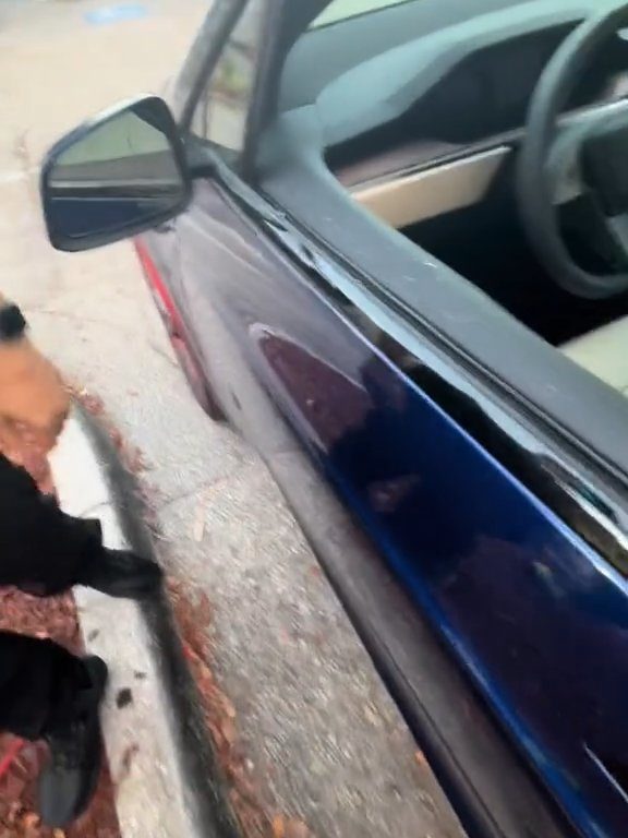 Recién nacido atrapado en un Tesla durante una prueba de manejo: una historia de pesadilla