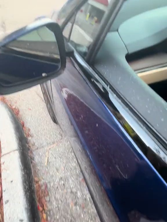 Recién nacido atrapado en un Tesla durante una prueba de manejo: una historia de pesadilla