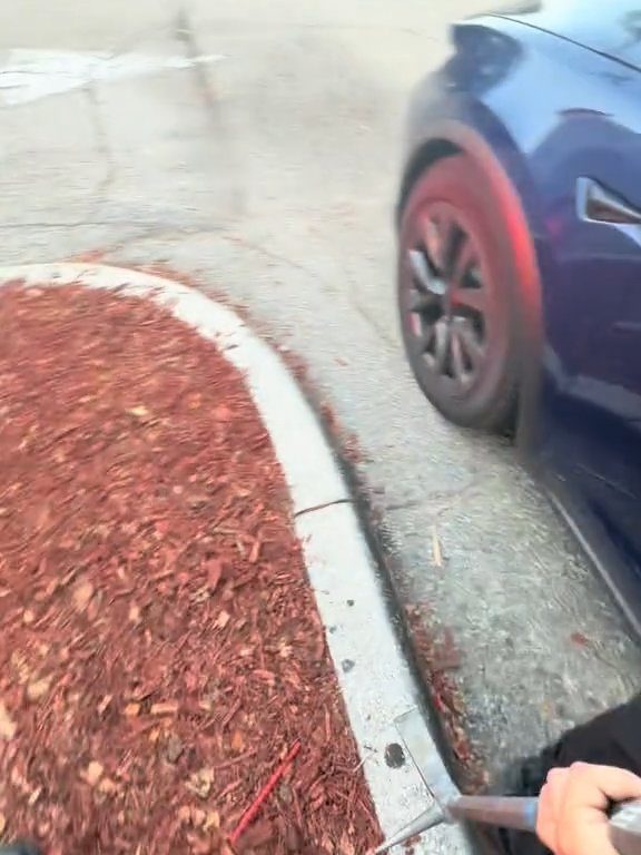 Recién nacido atrapado en un Tesla durante una prueba de manejo: una historia de pesadilla