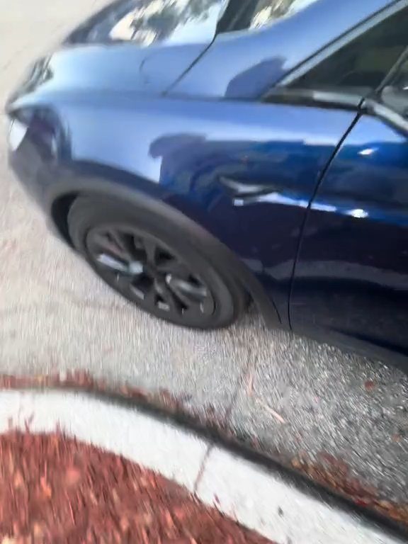 Recién nacido atrapado en un Tesla durante una prueba de manejo: una historia de pesadilla