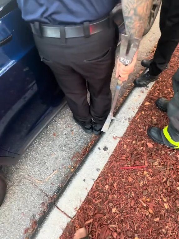 Neonato bloccato in una Tesla durante un test drive: una storia da incubo