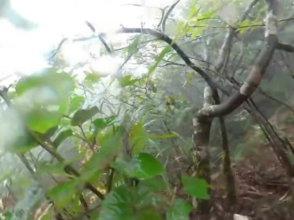 Il tombe de la montagne et sa caméra enregistre tout : c'est ainsi qu'il se sauve