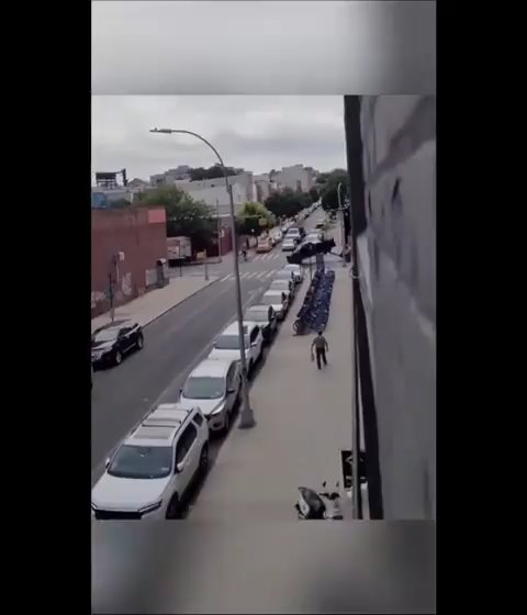 Le roba grúa que estaba sacando su auto y la destroza: video viral