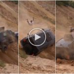 Un todoterreno se estrella por una pendiente durante una carrera ilegal: el conductor es expulsado, vídeo impactante