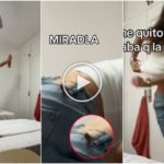 Aterrada por cucaracha voladora, niña se desnuda para ahuyentarla: video viral