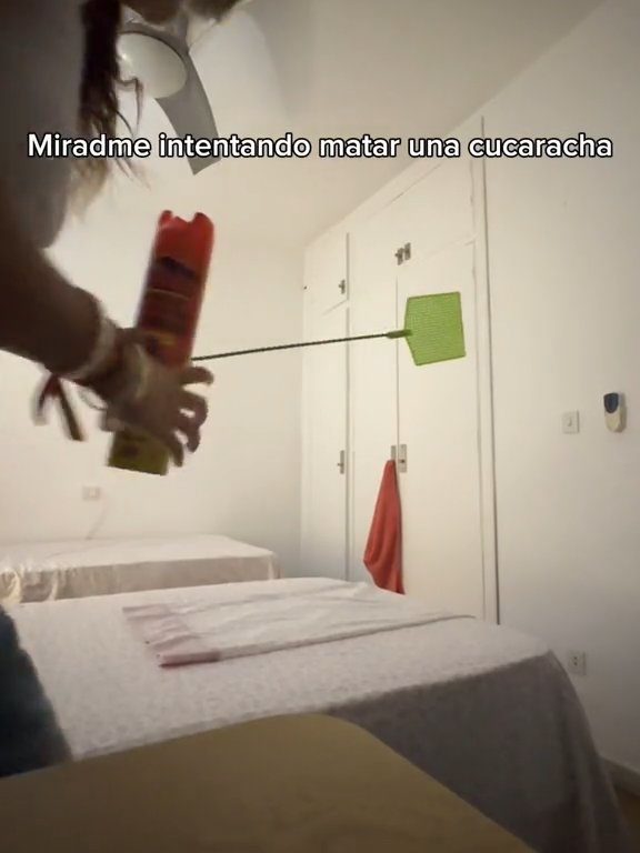 Aterrada por cucaracha voladora, niña se desnuda para ahuyentarla: video viral