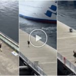 Un touriste perd son bateau de croisière mais la fin est hilarante : vidéo virale
