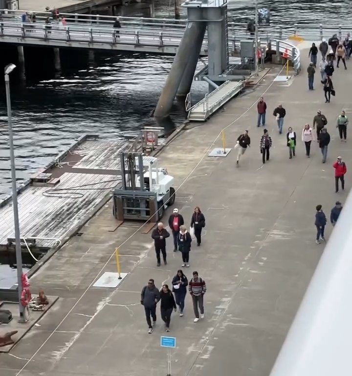 Turista perde la nave da crociera ma il finale è esilarante: video virale